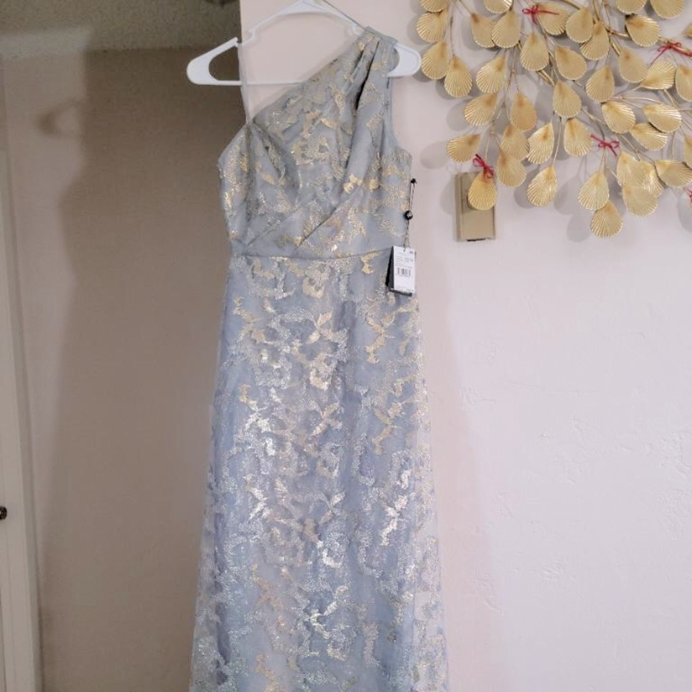 Adrianna papell one shoulder gown